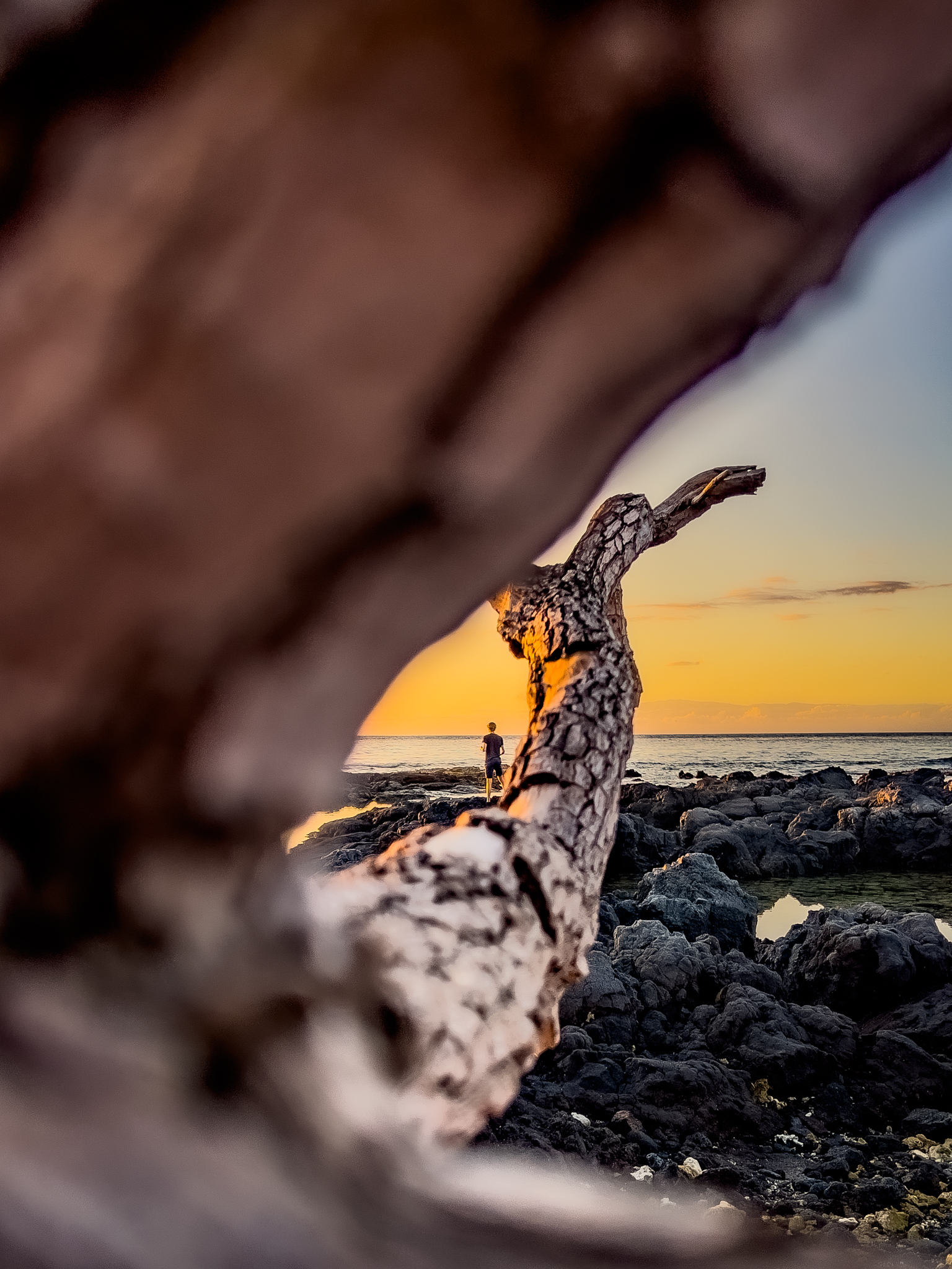 Hawaii Photoshooting Sunset Tree Framing 